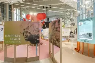 Planetary Health in München: Ausstellung am 14. August
