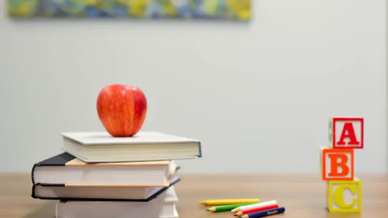 Schulstart am 17. August: Wochenend-Check für Familien
