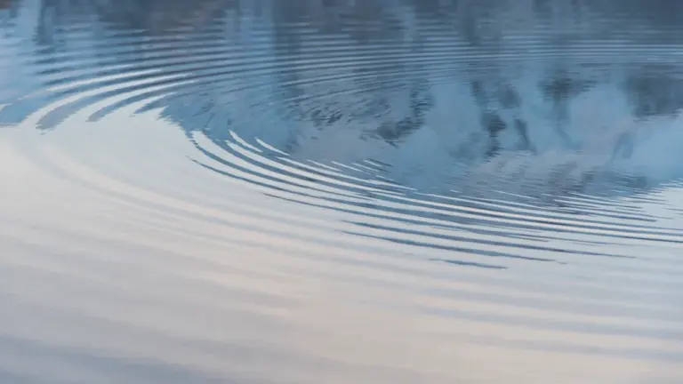 Wasser im Traum: Psychologie, Symbolik und Kultur