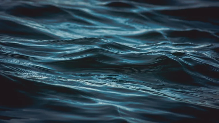 Wasser im Traum: Psychologie, Symbolik und Kultur