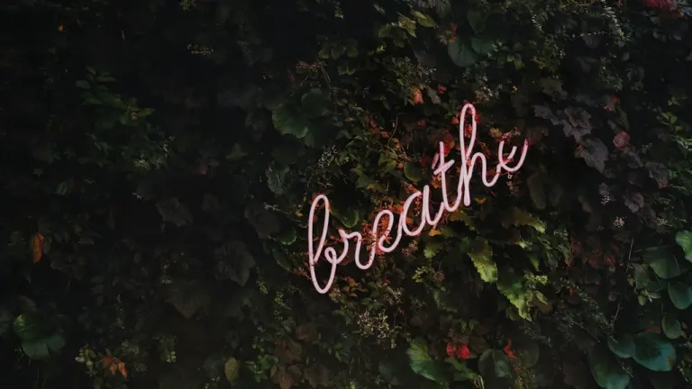 Ein Neonschild mit der Aufschrift 'breathe' an einer dunklen, mit Pflanzen bewachsenen Wand.