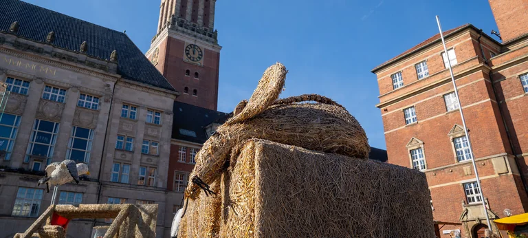 Bauern- und Regionalmarkt Kiel: 2.–4. Oktober, Eintritt frei