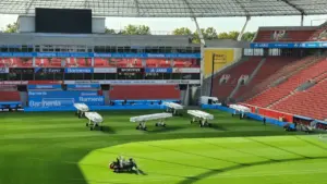 Blick auf den grünen Rasen und die Tribünen der BayArena am Tag.