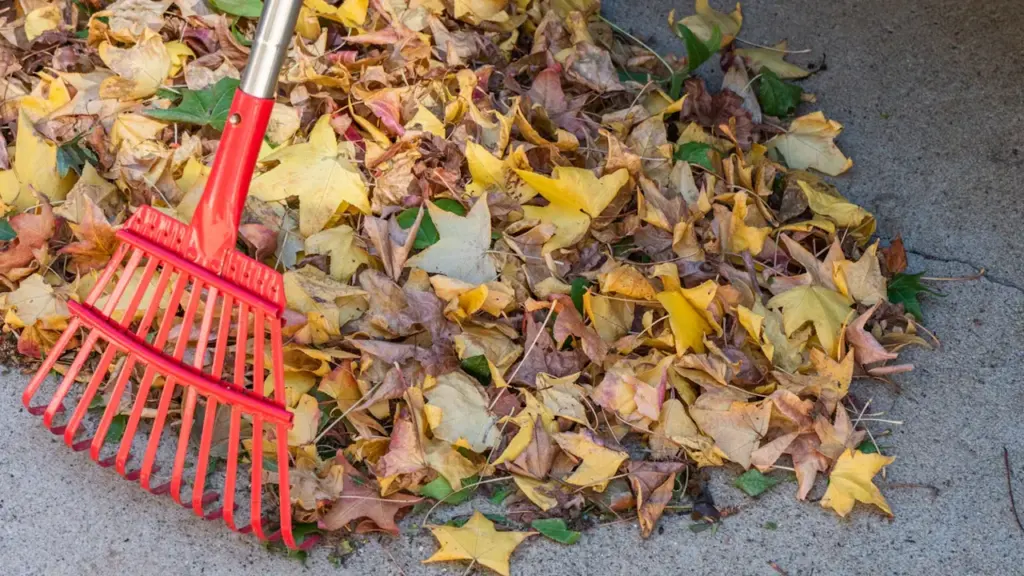 Ein roter Laubrechen liegt auf einem großen Haufen herbstlicher Blätter im Garten.