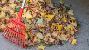 Ein roter Laubrechen liegt auf einem großen Haufen herbstlicher Blätter im Garten.