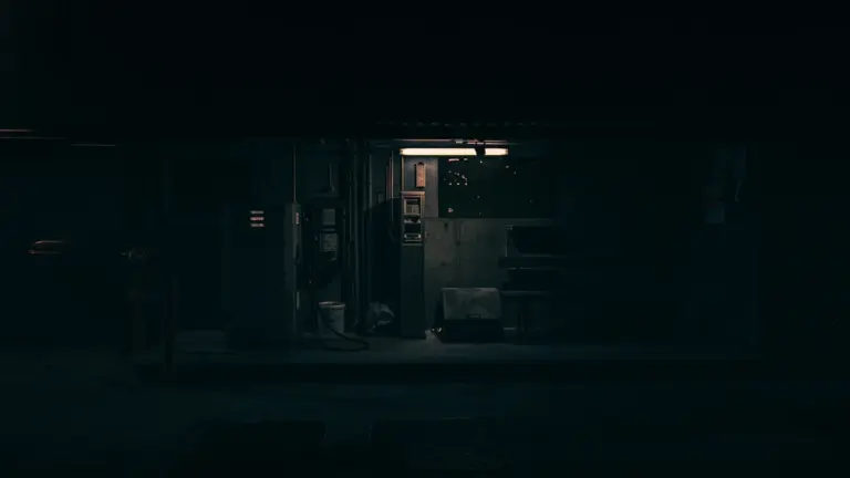 Eine typische Tankstelle in der Nacht, beleuchtete Zapfsäulen vor dunklem Hintergrund.